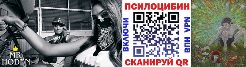 где купить наркоту  Карабулак  Галлюциногенные грибы мухоморы 
