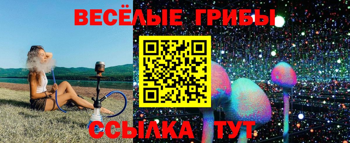 Карабулак  Псилоцибиновые грибы Psilocybe  хочу   Вход с VPN 