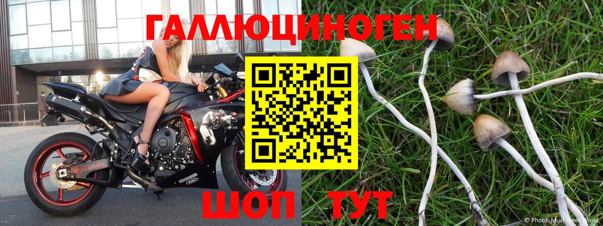 Псилоцибиновые грибы ЛСД Карабулак